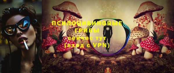 скорость Арсеньев