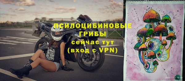 PSILOCYBIN Аркадак
