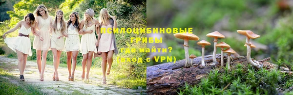 гидропоника Алексеевка