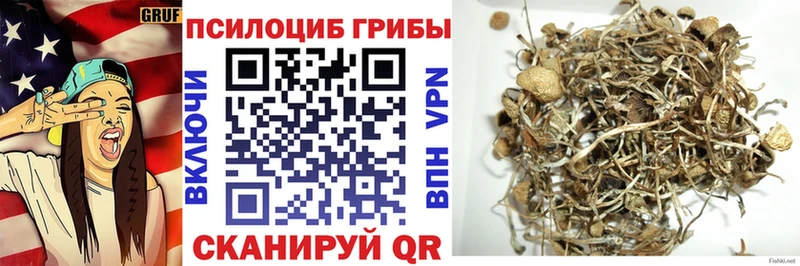 Купить где  Южноуральск  Галлюциногенные грибы ЛСД 